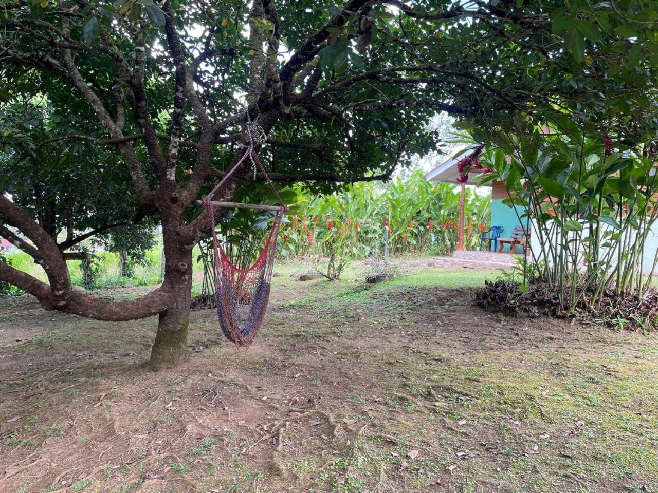 Cabana Rural Ave Del Paraiso La Fortuna Exterior photo
