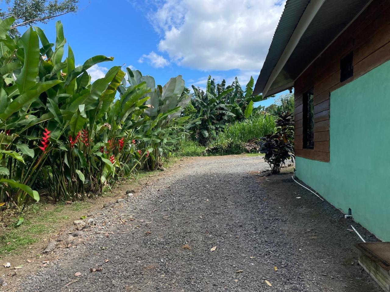 Cabana Rural Ave Del Paraiso La Fortuna Exterior photo